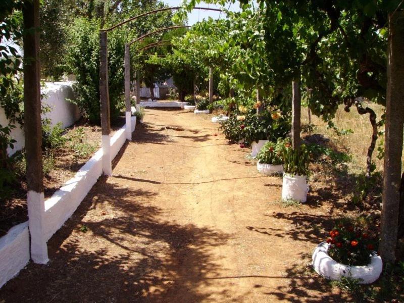 Turimenha Guest House Marvão Eksteriør bilde