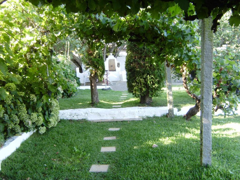 Turimenha Guest House Marvão Eksteriør bilde